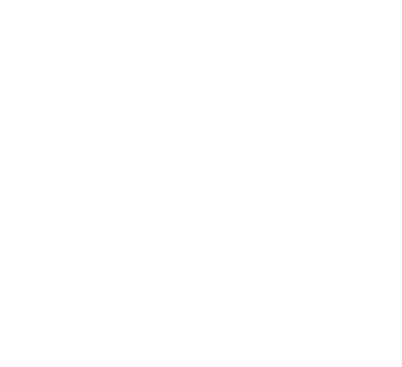 Logo Don Bosco Lyon